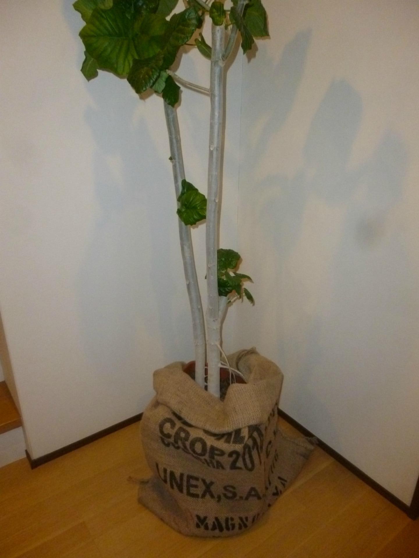 コーヒー豆の麻袋が Ebi印 近隣探索日記