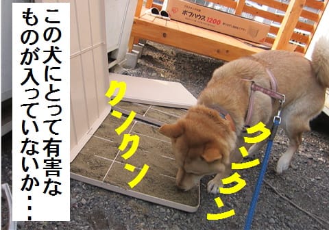寝床の作り方 飯の為なら なんでもするズラ 寝床の作り方 飯の為なら なんでもするズラ