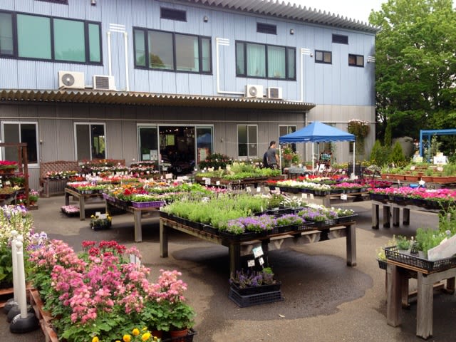 保土ヶ谷 花屋四季 ハーブ講習会 かながわハーブナーセリー園主のブログ ハーブと暮らす３６５日