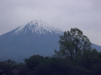 曇り空ながら一応全姿を見せてくれた富士山です。