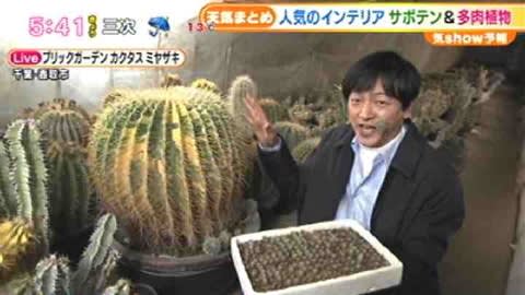 千葉からサボテン 多肉植物の紹介 依田さんけさはどこから中継