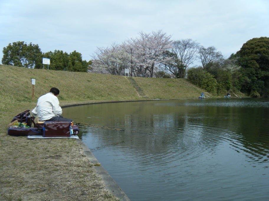 北九州市営 無料釣り堀 白岩池公園 九州 風来坊釣師達 へらぶな と ゆかいな仲間達