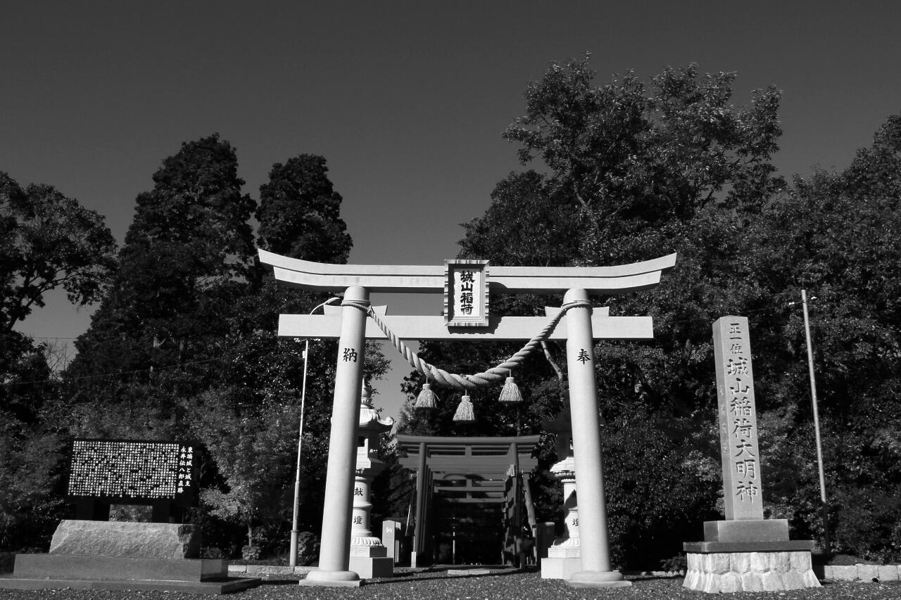 比較写真の画像