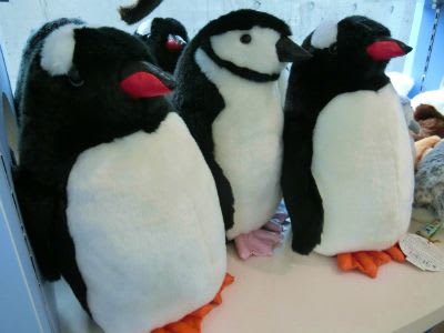 うみたまごのペンギンぬいぐるみ ペンギン事務所