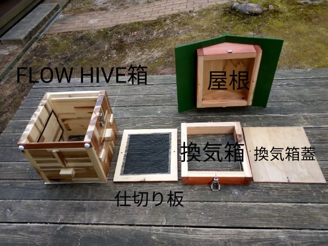楽天市場 sakura商店日本蜜蜂 西洋ミツバチ フローハイブ Flow hive