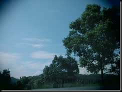 _MG_0166