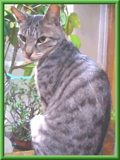 榎木孝明猫の絵画③