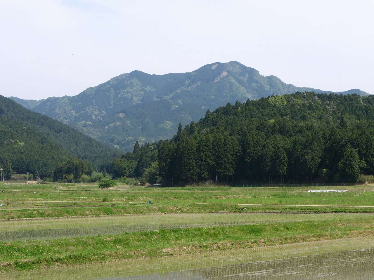 鈴鹿・那須ヶ原山（８００ｍ）の画像