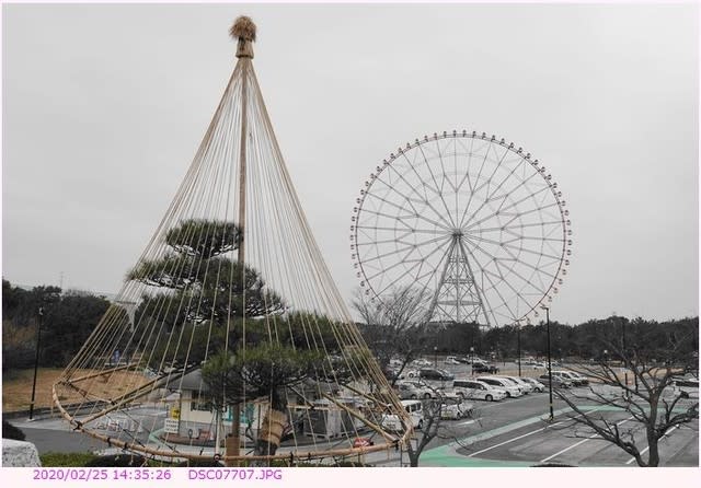 葛西臨海公園 写真まとめ 都内散歩 散歩と写真 葛西臨海公園 写真まとめ 都内散歩 散歩と写真