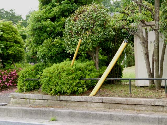 こんなところに巣を作ってる 歩道際の電柱支線カバーにシジュウカラが デジスコ撮影実習日誌 こんなところに巣を作ってる 歩道際の電柱支線カバーにシジュウカラが デジスコ撮影実習日誌