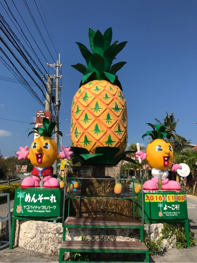 パイナップル一色の人気テーマパーク 美ら島めぐり 沖縄