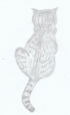 鉛筆画 ネコの後ろ姿のイラスト 爺チャンの落書帳