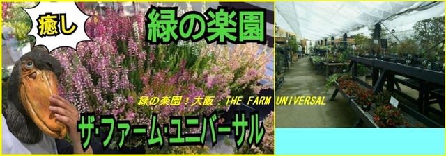 大阪府茨木市のザ ファーム ユニバーサルに行きました 高槻自然と切手娯楽部 趣味生活