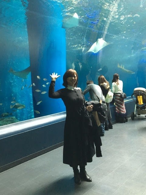 691 アクアパーク品川 水族館 掘ったら菓子