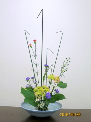 アジサイを使った自由花 池坊 花のあけちゃんブログ明田眞子 花の力は素晴らしい 広島で４０年 池坊いけばな教室 熱心な方々と楽しく生けてます