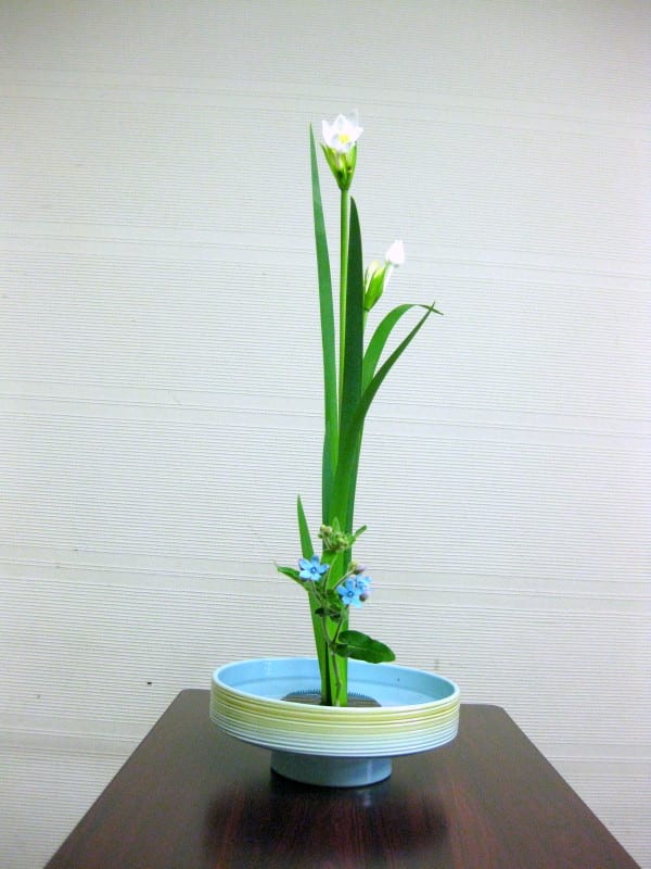 初めての 生花 新風体は シンプルに 池坊 花のあけちゃんブログ明田眞子 花の力は素晴らしい 広島で４０年 池坊いけばな 教室 熱心な方々と楽しく生けてます