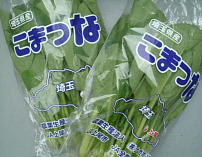 お土産に野菜をもらってきたよ～