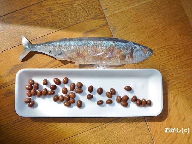 焼きサンマ チョコ って 何だ 地球国を創ろう