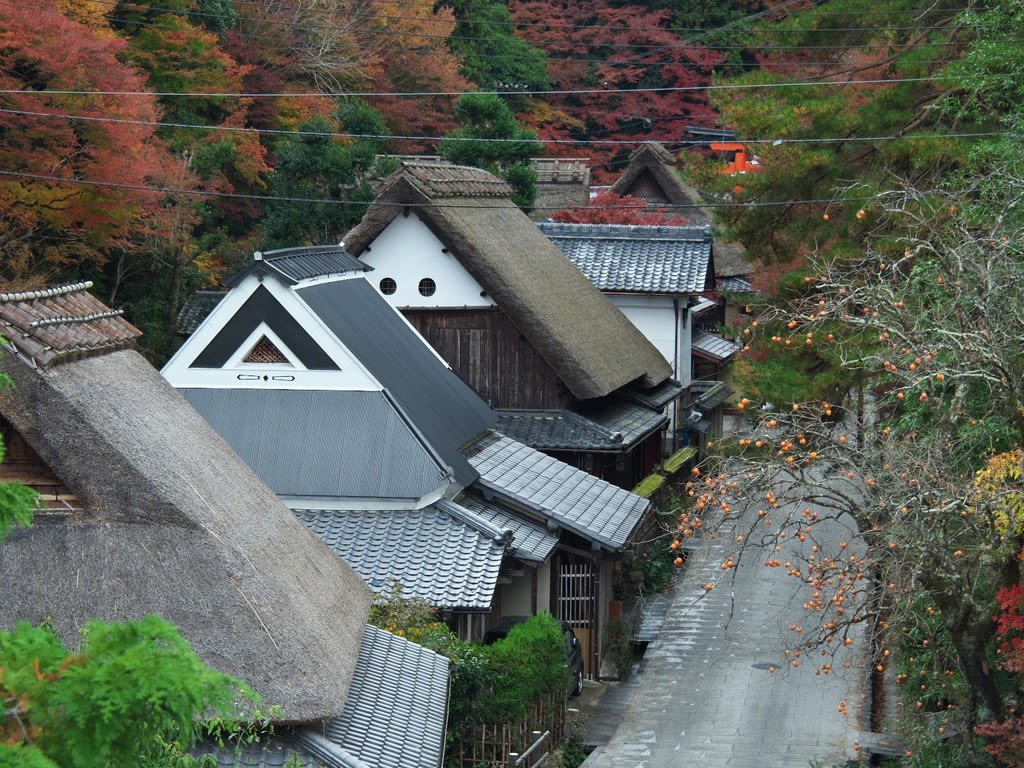 11月22日 嵐山 奥嵯峨 平野屋界隈 ジョーとハイジ