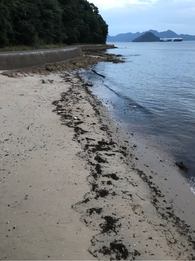 広島 元宇品にて釣りの下見して来ました 日常のたわい無いパパ日記 広島 元宇品にて釣りの下見して来ました 日常のたわい無いパパ日記