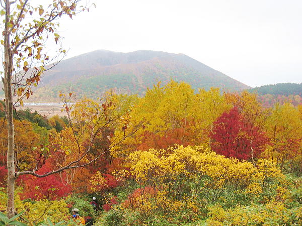 紅葉登山１ 浄土平から 一切経山 へ 花と緑を追いかけて