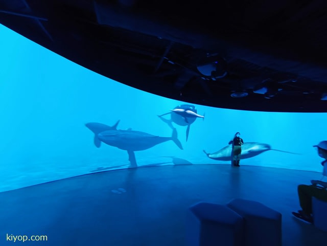 カワスイー川崎水族館に行ったよ 後編 生き物たち 新 八草きよぴ Kiyop 非公式モリゾー愛ブログだトン