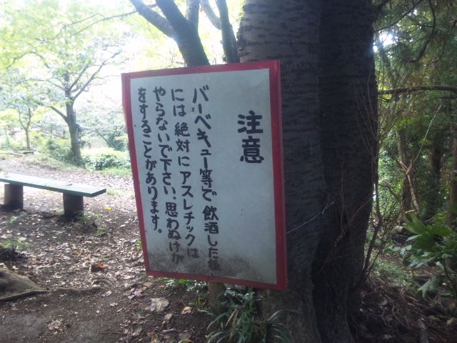 遊ぶ