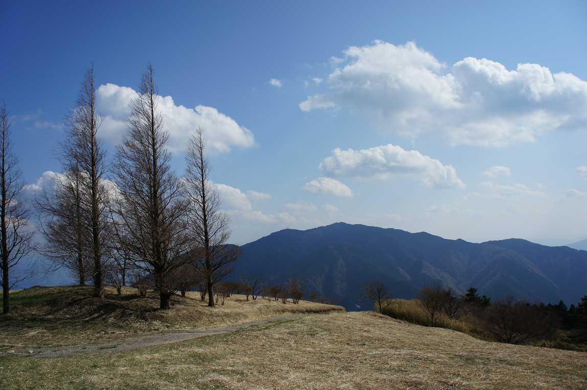 075 水越峠から 金剛山 葛城山 桜めぐり サランヘヨ 登山