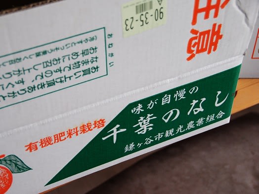 梨汁ブシャーーーーー とは 言い得て妙であると思った プラムフィールドからのお便り 梨汁ブシャーーーーー とは 言い得て妙であると思った プラムフィールドからのお便り
