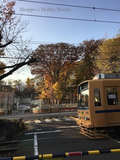 イメージ 6