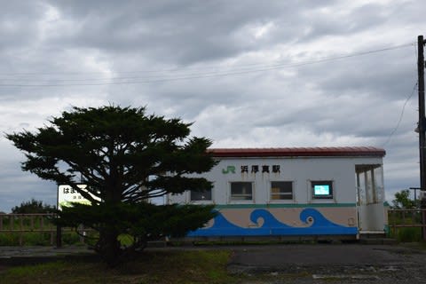 Jr北海道 日高本線 浜厚真駅 たからひかり薔薇が咲く