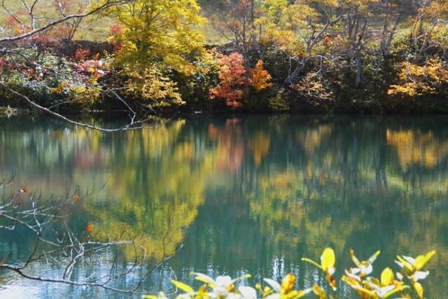 蔵王山のドッコ沼とお釜と刈田岳の紅葉の風景 後藤和弘のブログ