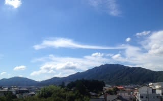 Image_3 Image_3