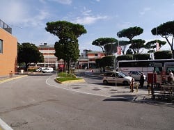 P1120518.JPG