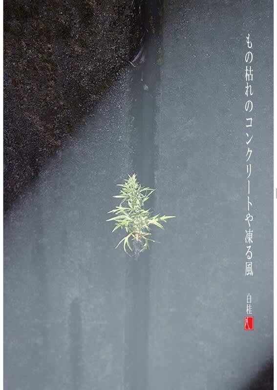 2022年1月14日のブログ記事一覧 詩と短歌集／photo poem 雪割一華（ゆきわりいちげ）