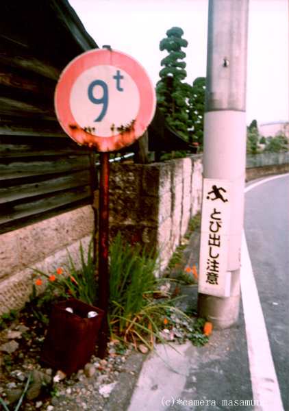 夏の魔物 カメラマサムネ