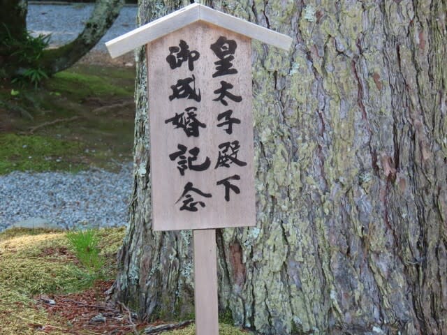 奈良の旅2023年6月　橿原神宮　皇太子殿下（現　今上天皇）御成婚記念樹