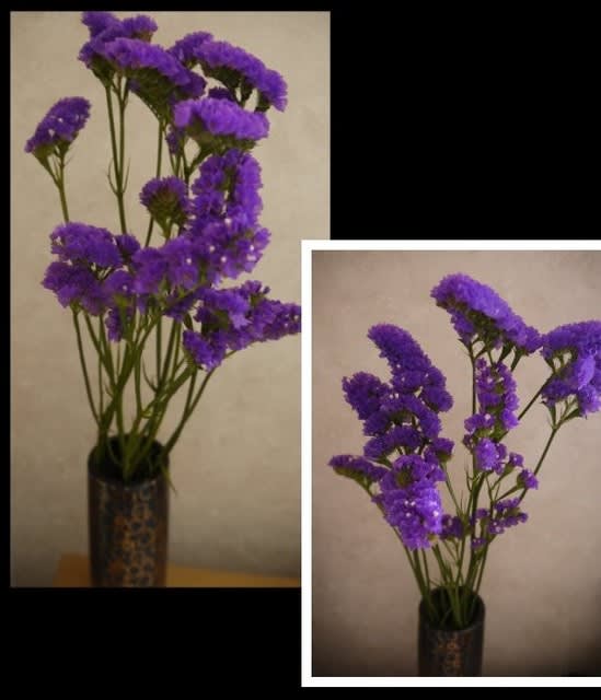 今日の仏花【紫のスターチス】 - セロ弾きのゴーシュ
