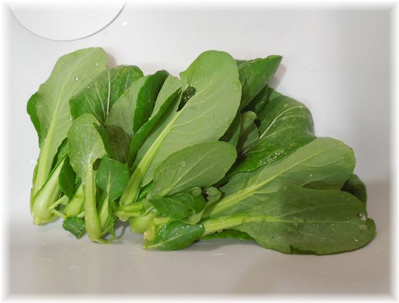味美菜 2015年3月6日
