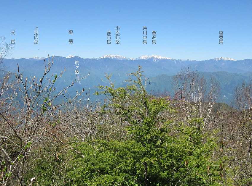 富士山の絶景　毛無山（２）の画像