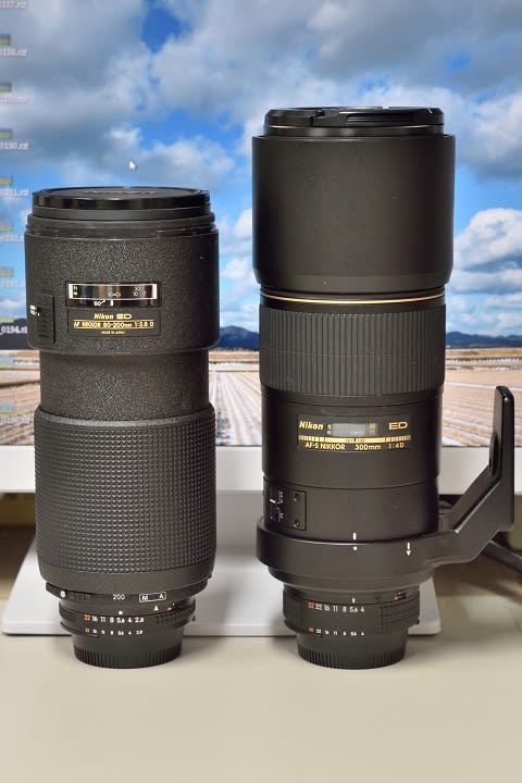 美品 MIショップNikon 単焦点レンズ Ai AF-S Nikkor 300mm f 4D IF-ED