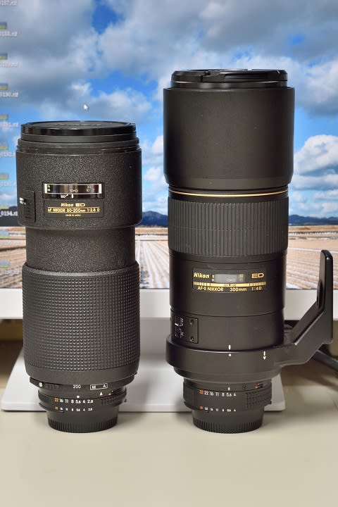 Nikkor 300mm f/4D