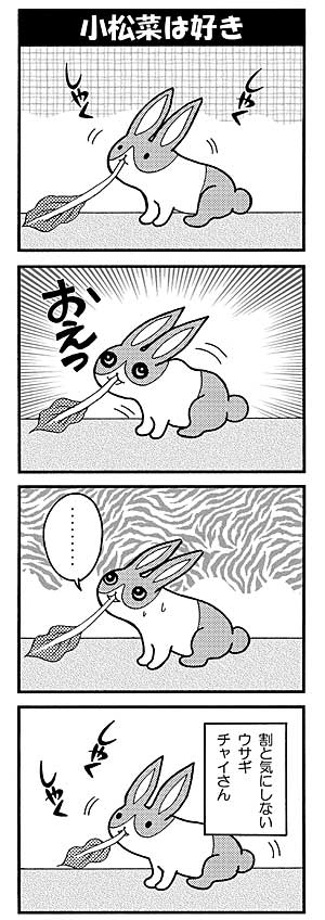 ウサギ漫画 うさぎの観察日記