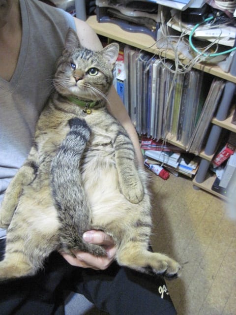 イメージ 2