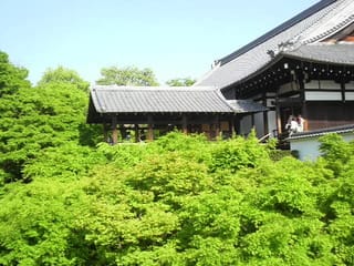 新緑の東福寺 言葉って面白い