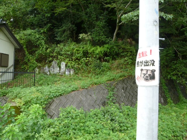 イメージ 4