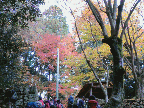 京都 愛宕山ハイキング つとむ君のブログ 京都 愛宕山ハイキング つとむ君のブログ