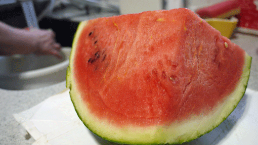 09年7月のブログ記事一覧 ｗａｎ ダーフルな毎日