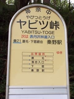 秦野 ヤビツ オファー 峠 バス 時刻 表