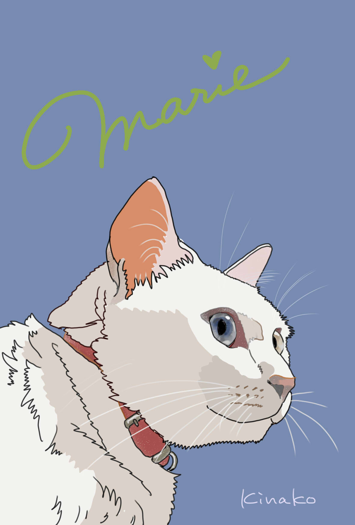 オッドアイのマリーちゃん イラストで 猫絵日記
